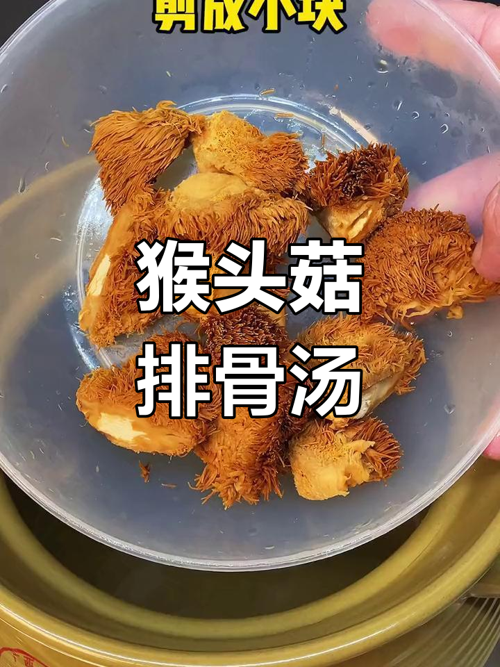 猴头菇淮山排骨汤,健脾祛湿的春季养生汤