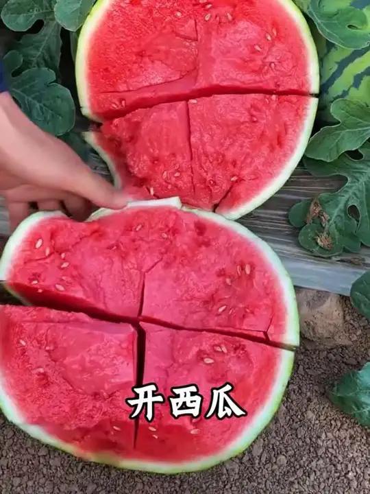 沉浸式体验 有趣又解压的声音,嘘我只给你一个人听!#切菜 #解压 #极度舒适 #强迫症看了