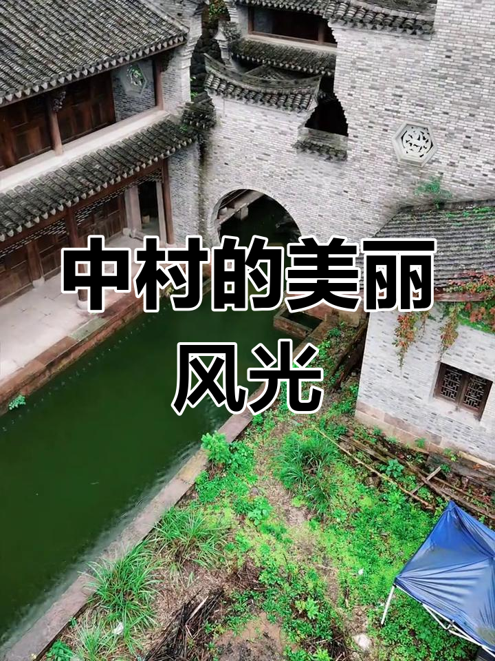 手工折纸鲨鱼教程,轻松学会
