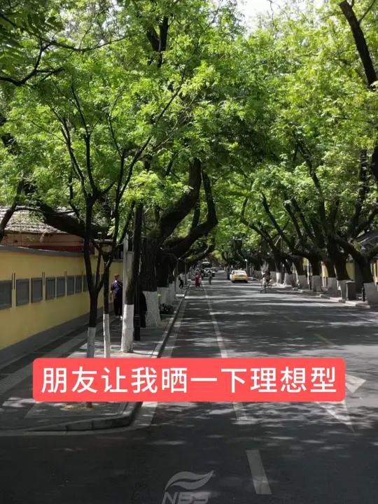 南南鸭——我的理想型
