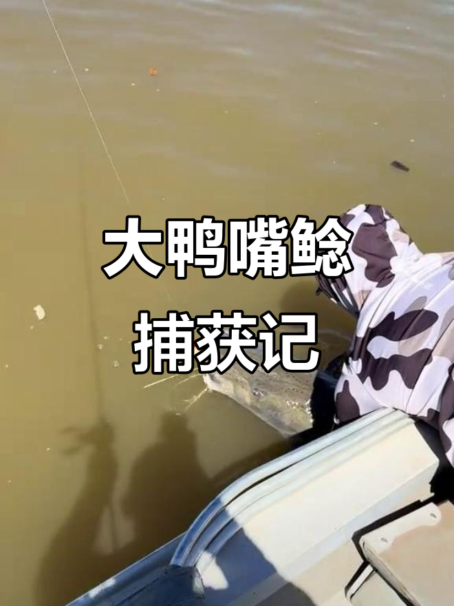 钓到一条超大的鸭嘴鲶,简直惊呆了!