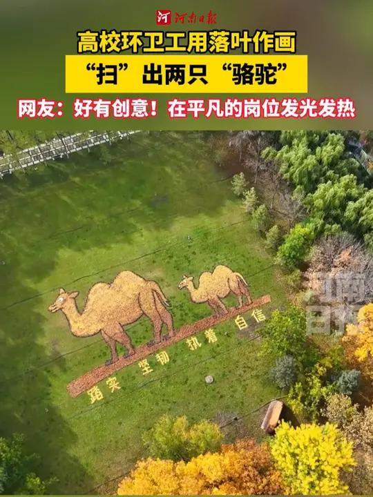 大地为纸,扫帚为笔,一笔一画,书写秋天色彩。高校环卫工用落叶作画扫出“骆驼”