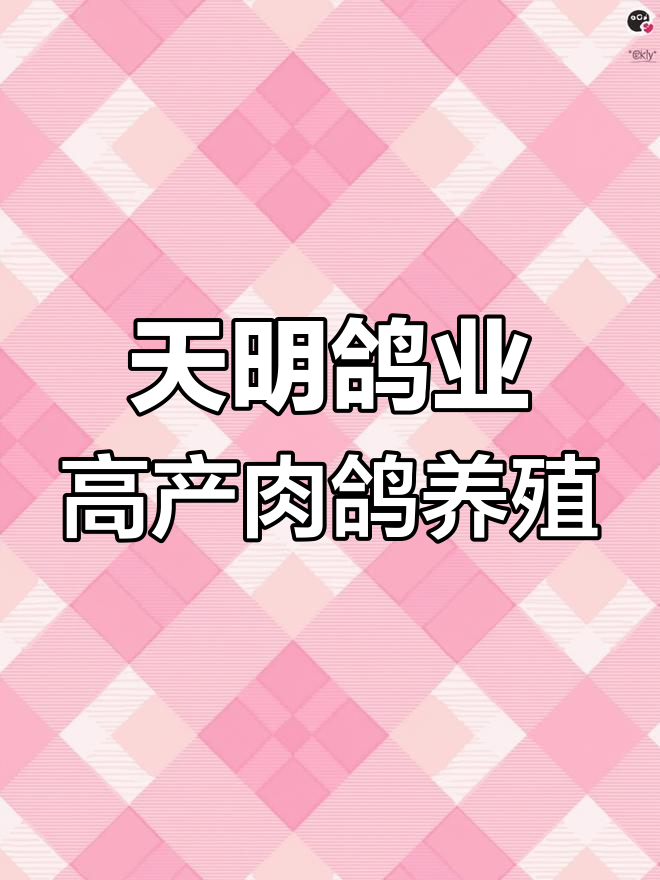 河南天明鸽业:四大品系种鸽繁育基地,年产值超千万