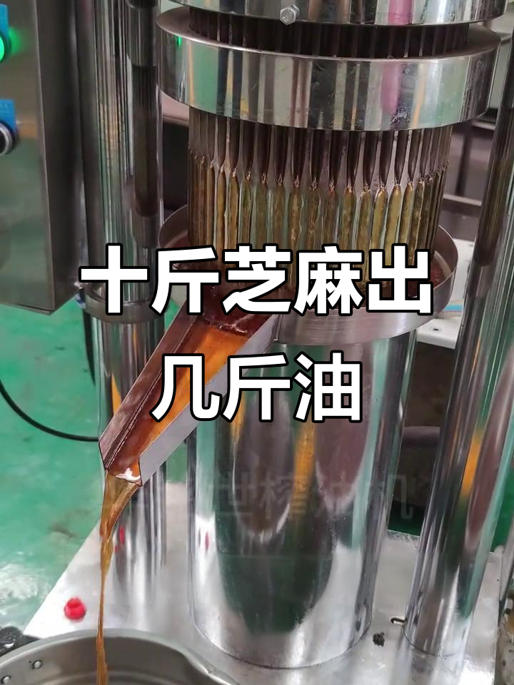 一斤芝麻能榨多少油?揭秘压榨工艺与香气秘诀