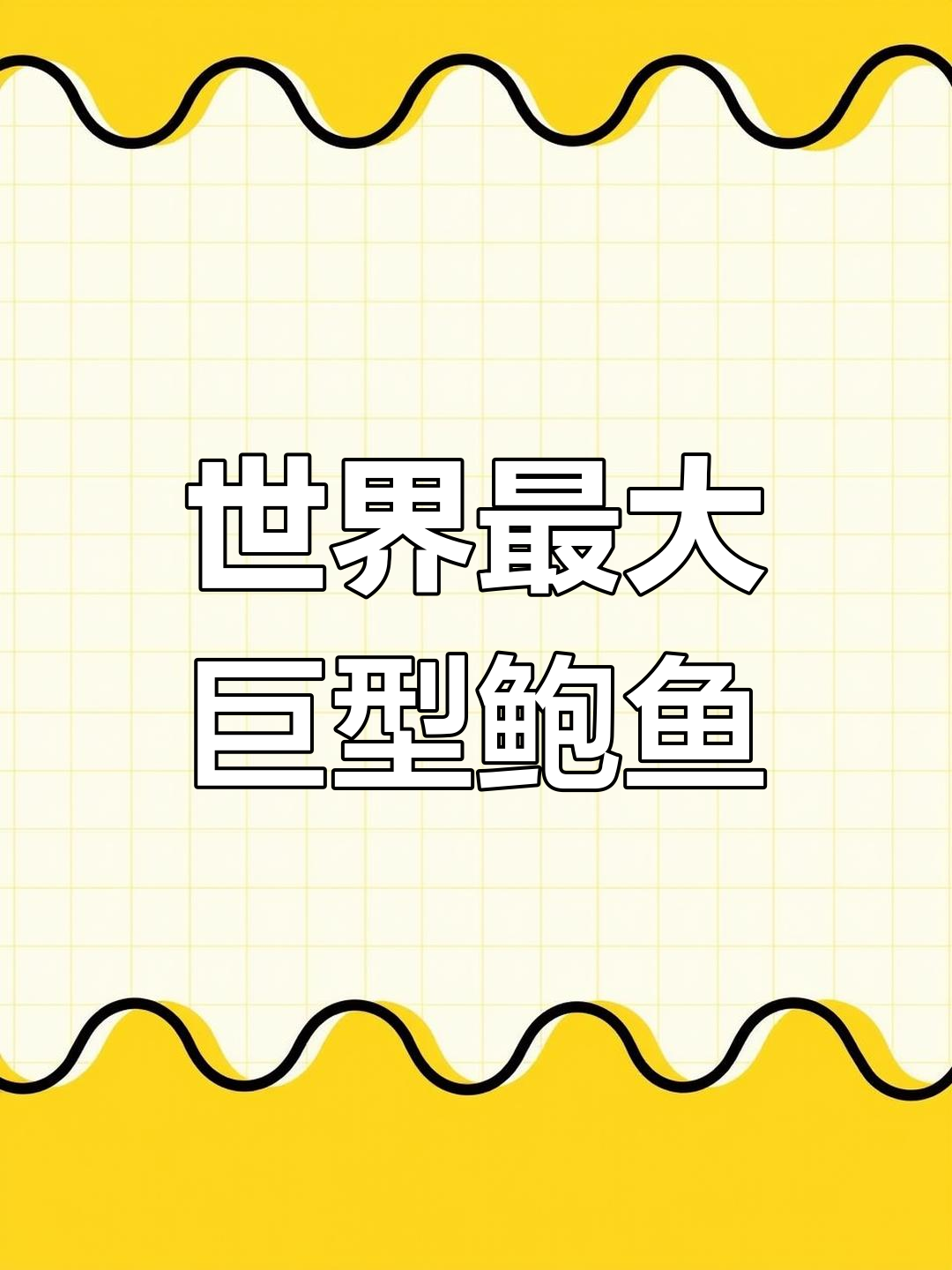 世界上最大的鲍鱼,重8斤卖5万美元!加州红鲍揭秘