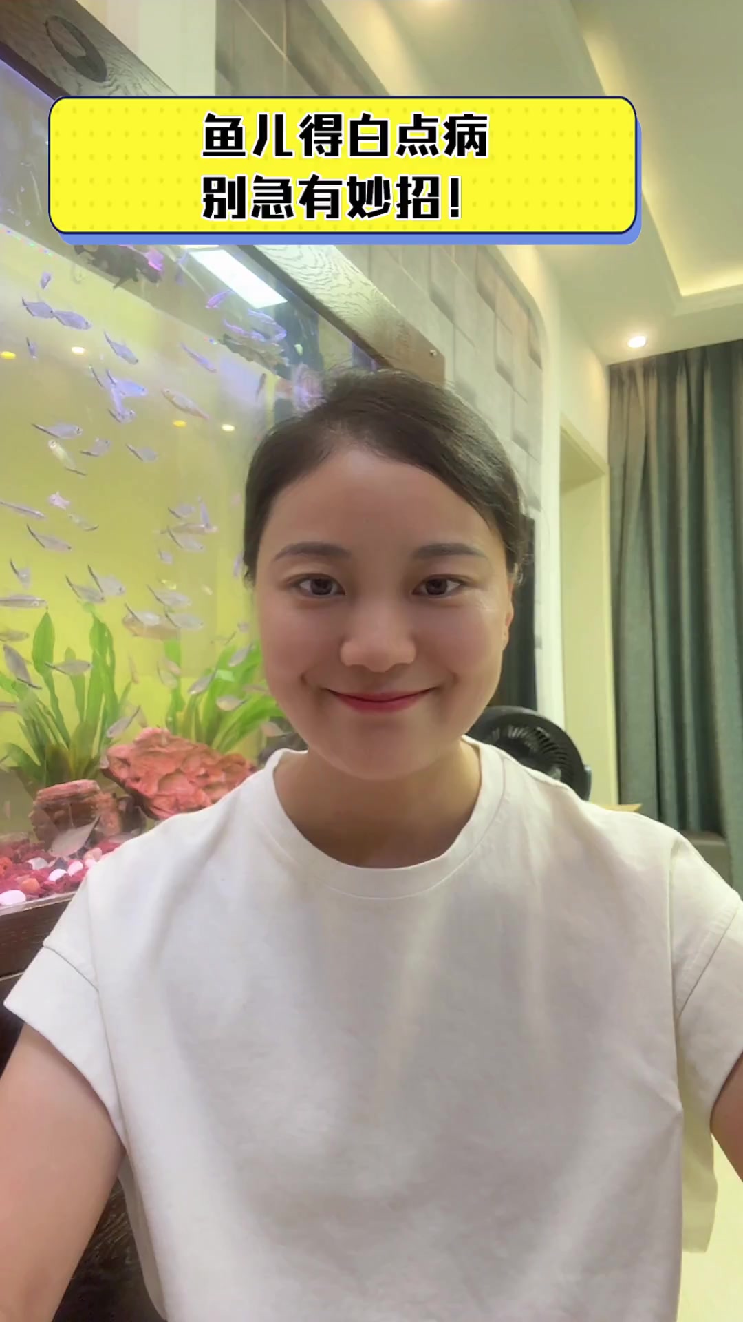 鱼儿得白点病,别急有妙招!