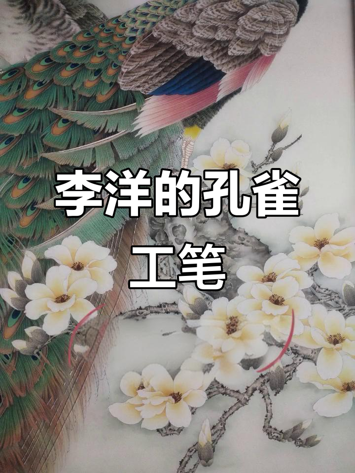 优雅工笔画,孔雀之美尽显
