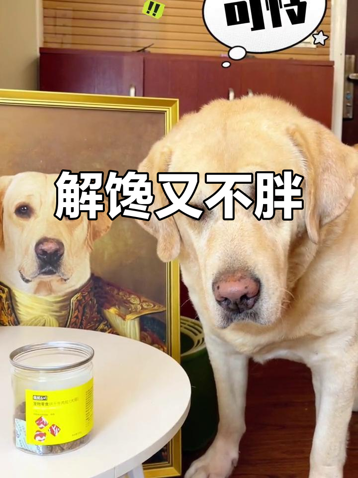 牛肉粒,解馋不增重,完美零食选择!