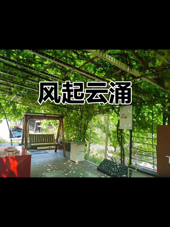 箪瓢随风舞,浮瓜避暑;草龙搅动银河,势如双鱼腾空