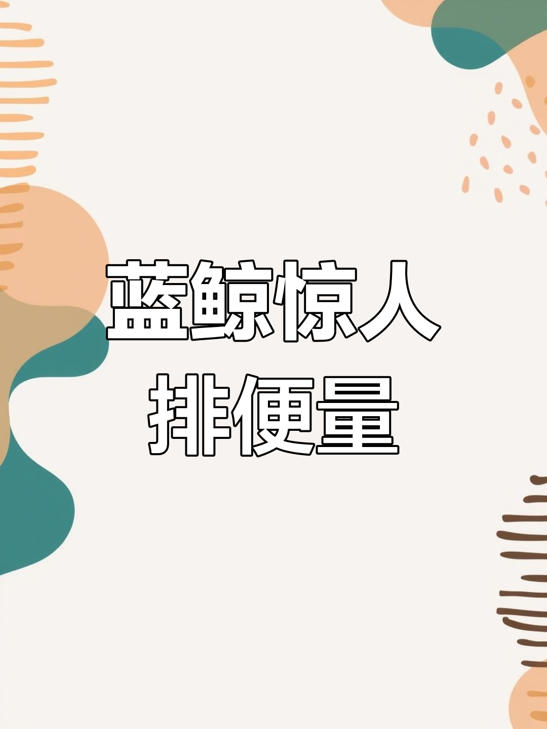 黑彗星与黑蝴蝶,各有千秋