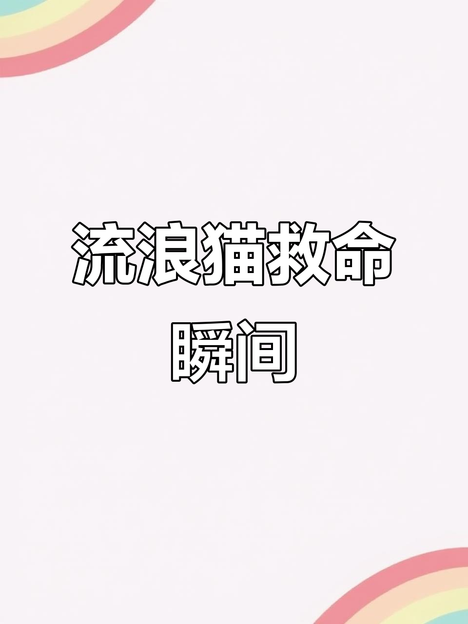 烤鱼店老板救猫一命，花盆从天而降幸得猫咪及时反应