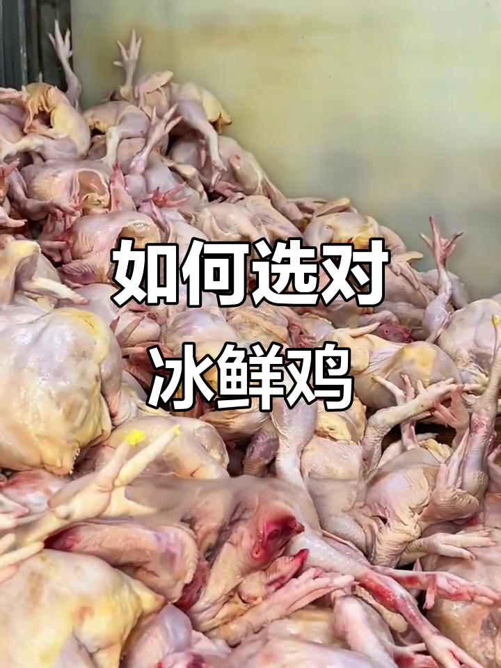 买冰鲜鸡时要注意什么?教你挑选新鲜鸡肉的技巧