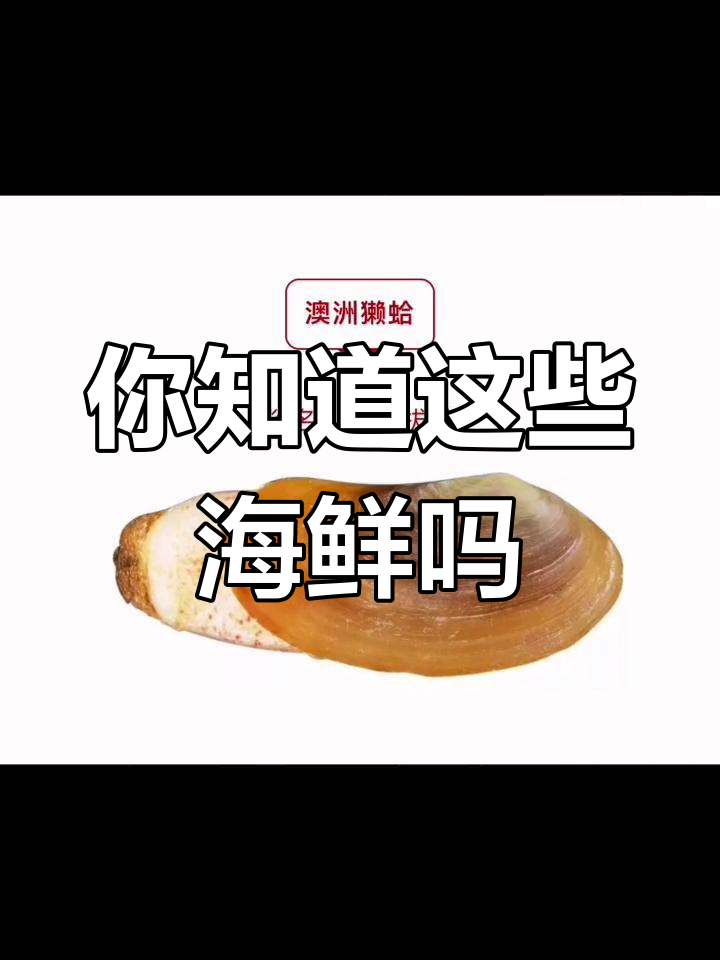 海南海鲜名字大揭秘,看完吓一跳