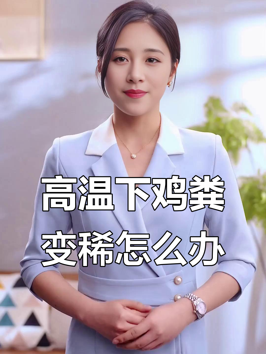 夏季高温如何避免鸡群粪便稀,球虫坏死性肠炎多发
