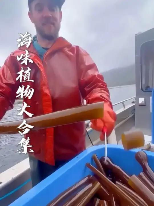 带你认识海生植物