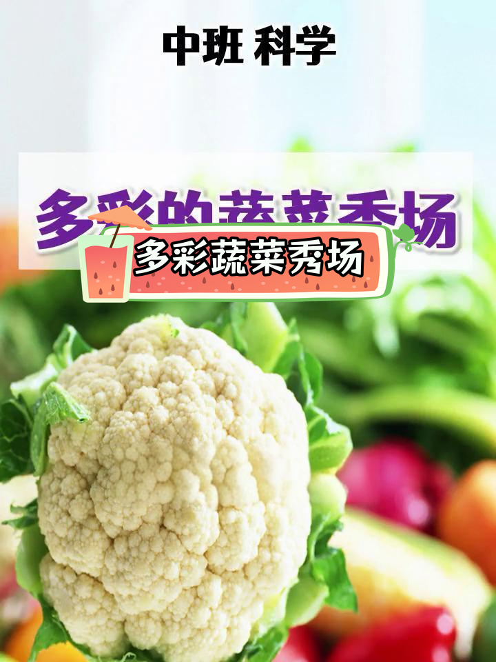 幼儿园中班科学活动:蔬菜大揭秘,赛跑争锋