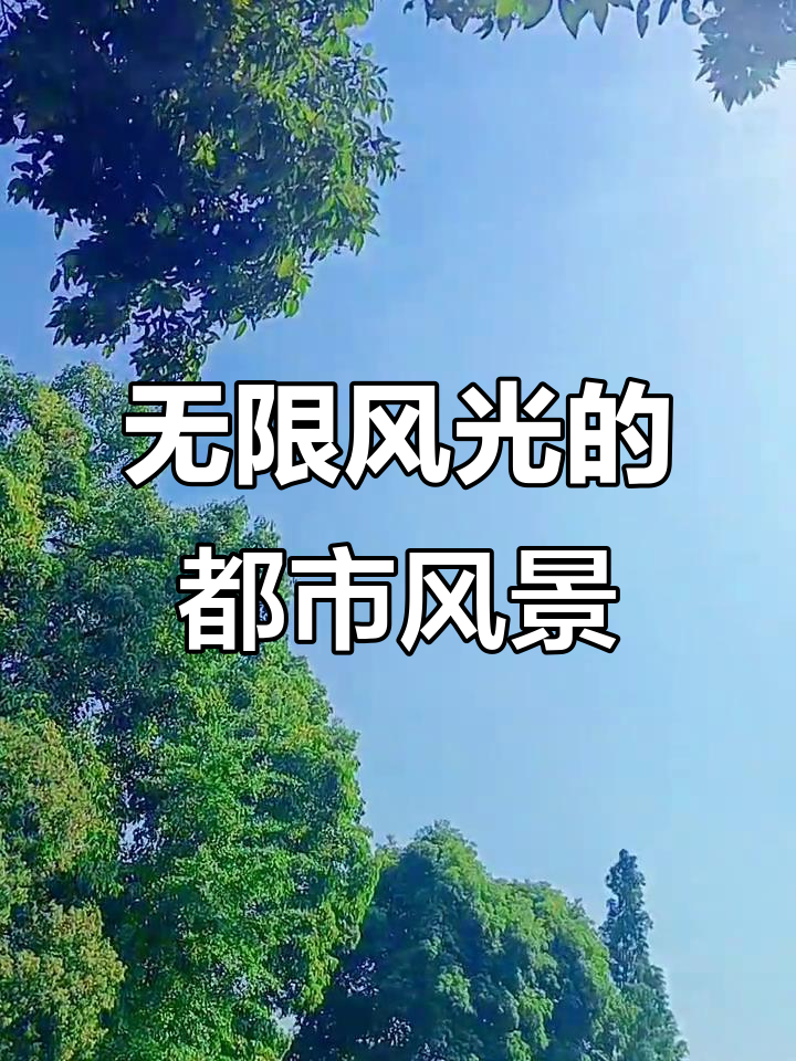 城市风光尽收眼底,无限美景一览无余