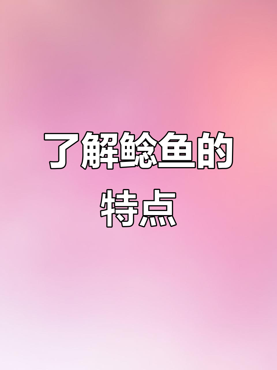 鲶鱼：常见淡水鱼的独特魅力与营养价值