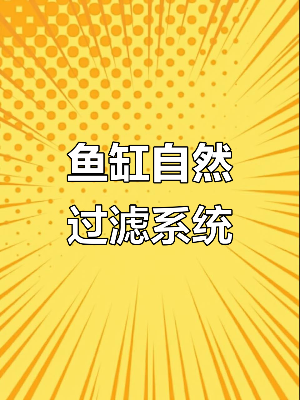 鱼缸里的自然生态,干湿分离设计让你更安心