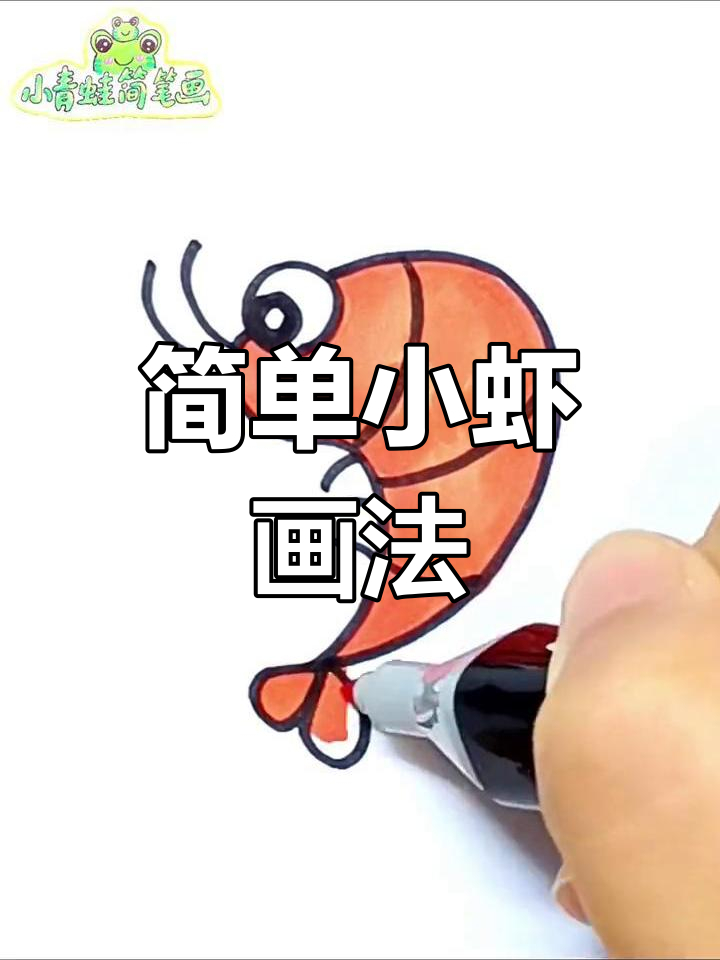 小虾简笔画,轻松学会画可爱小动物