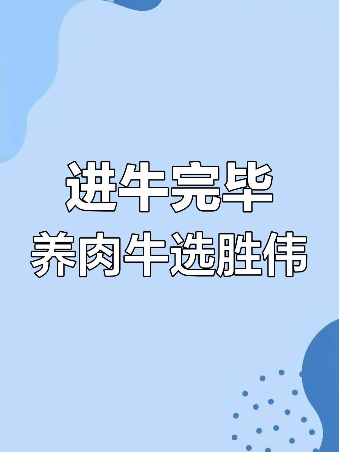 胜伟集团牧场全面进牛,安格斯肉牛养殖新篇章