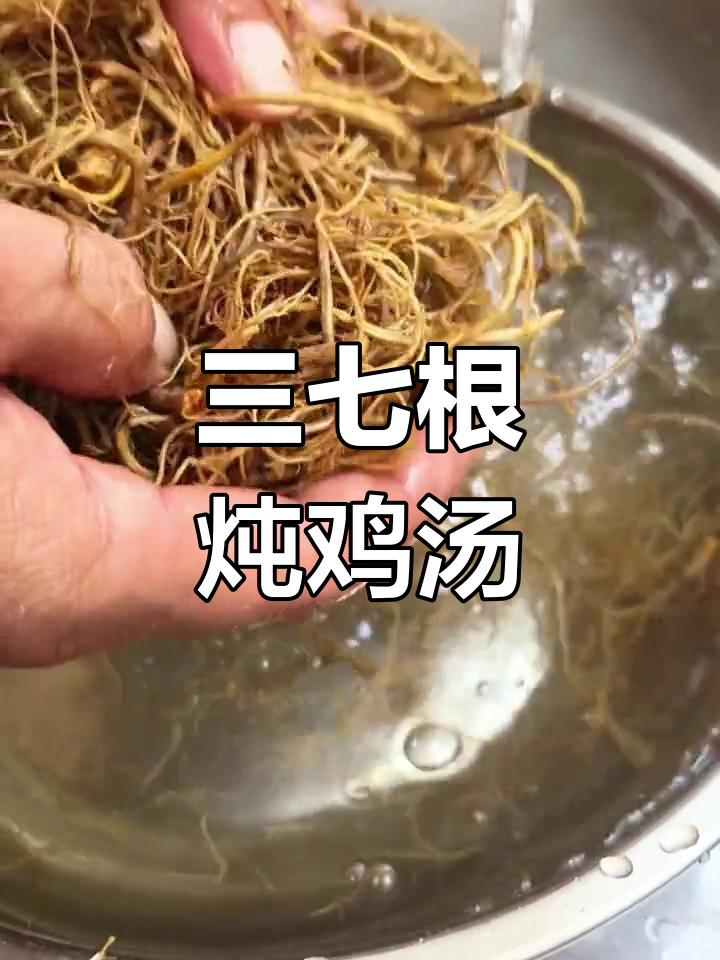 夏季滋补汤,三七根炖土鸡
