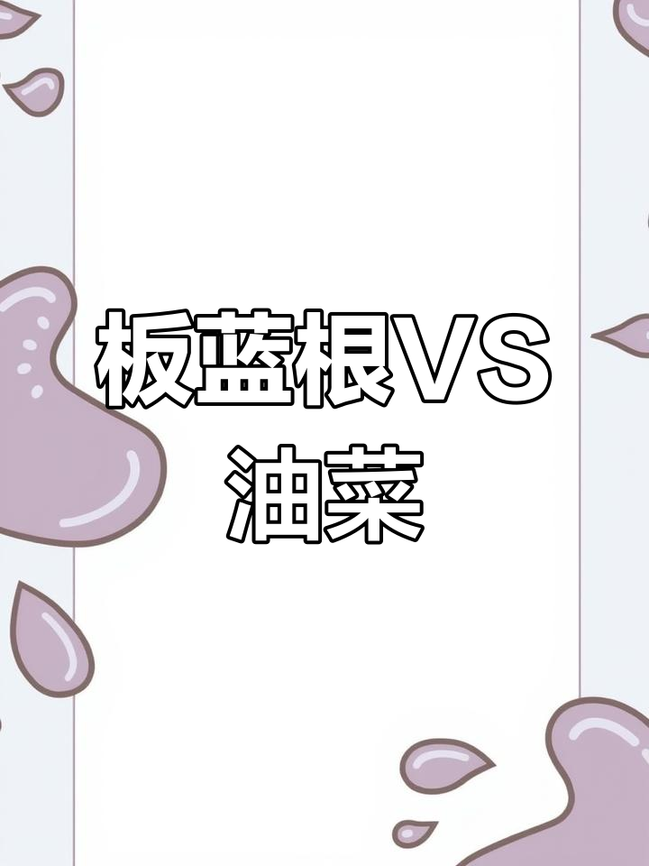 油菜、芥蓝与板蓝根青菜大比拼,哪种才是你最爱?