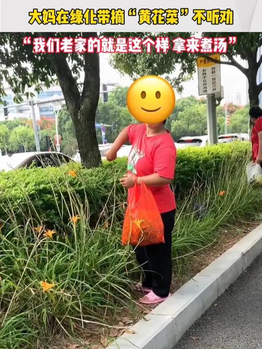 9月30日,浙江温州,两位大妈在路边绿化带内摘“黄花菜”,被路人好心提醒是萱草后回回怼:“