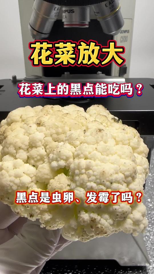 菜花上的黑点究竟有什么？放大看看