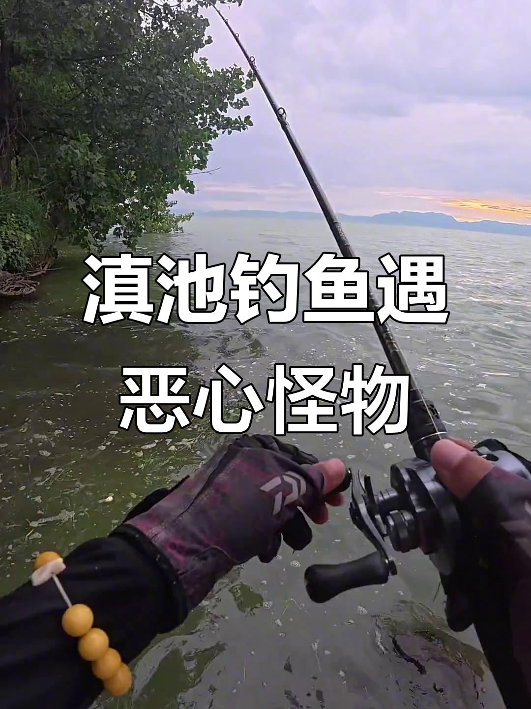 滇池钓鱼的痛苦面具,竟然钓出这种鱼!