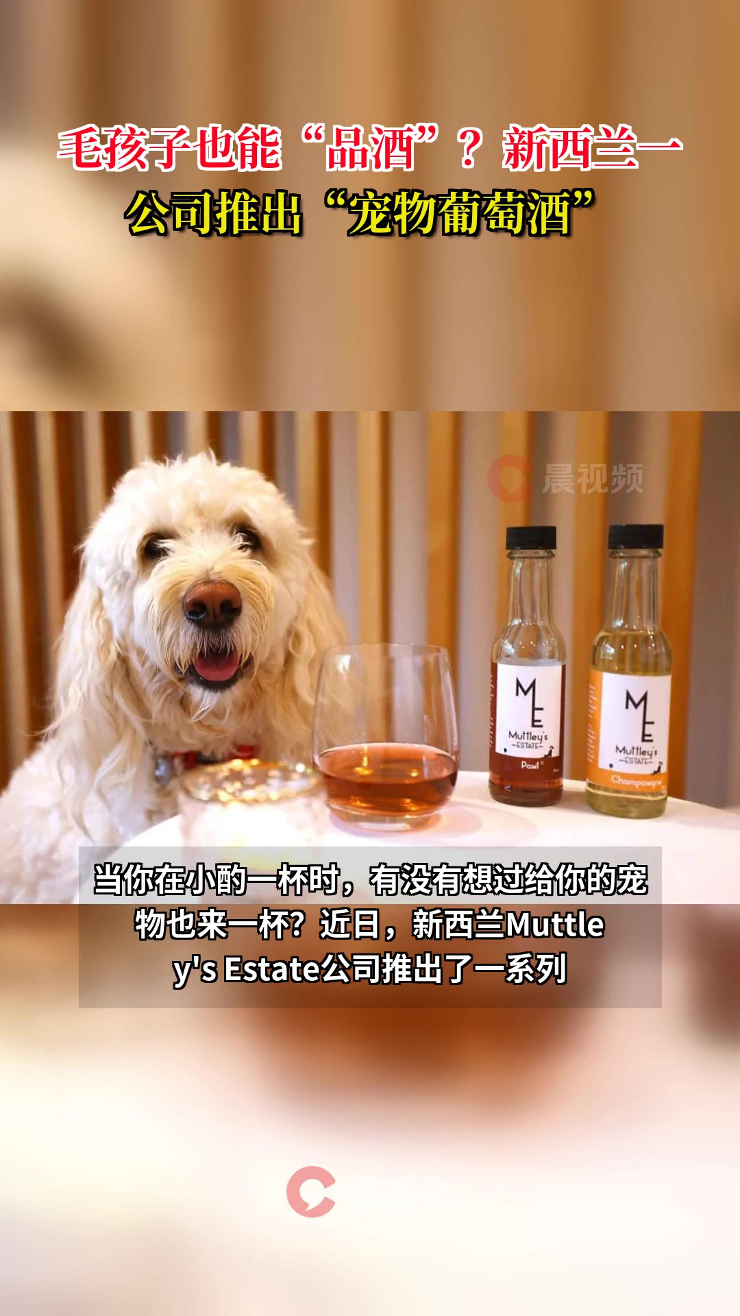 毛孩子也能“品酒”?新西兰一公司推出“宠物葡萄酒”
