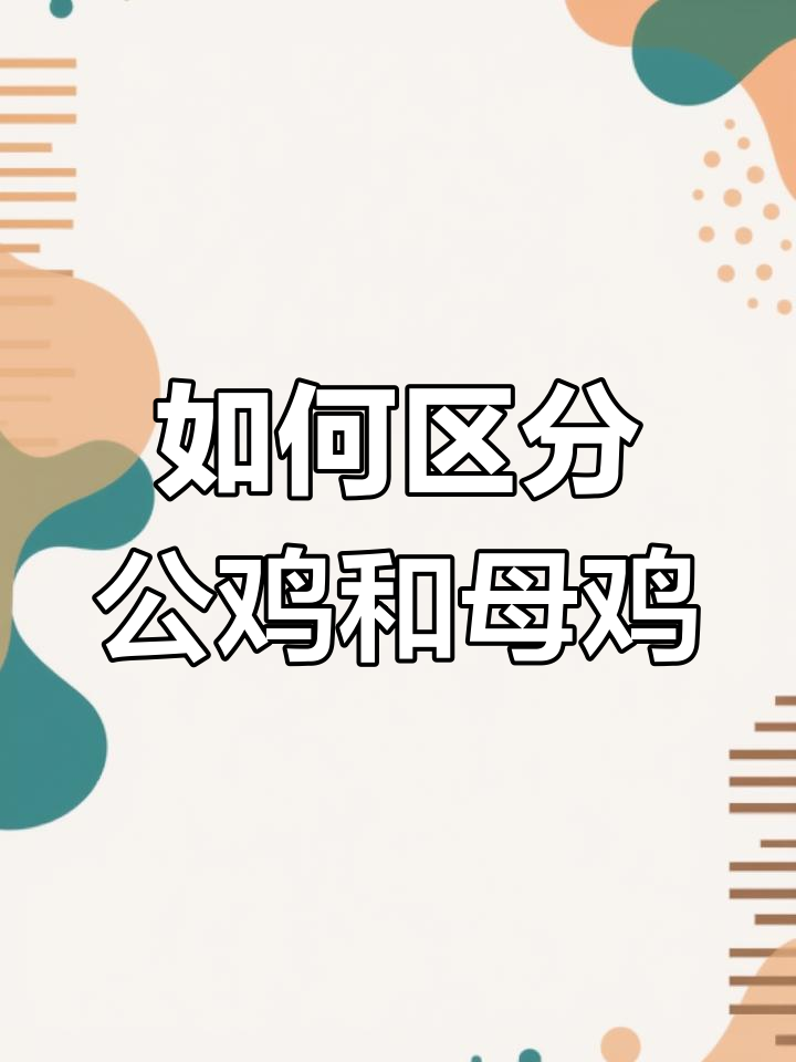 公鸡与母鸡的区别全解析