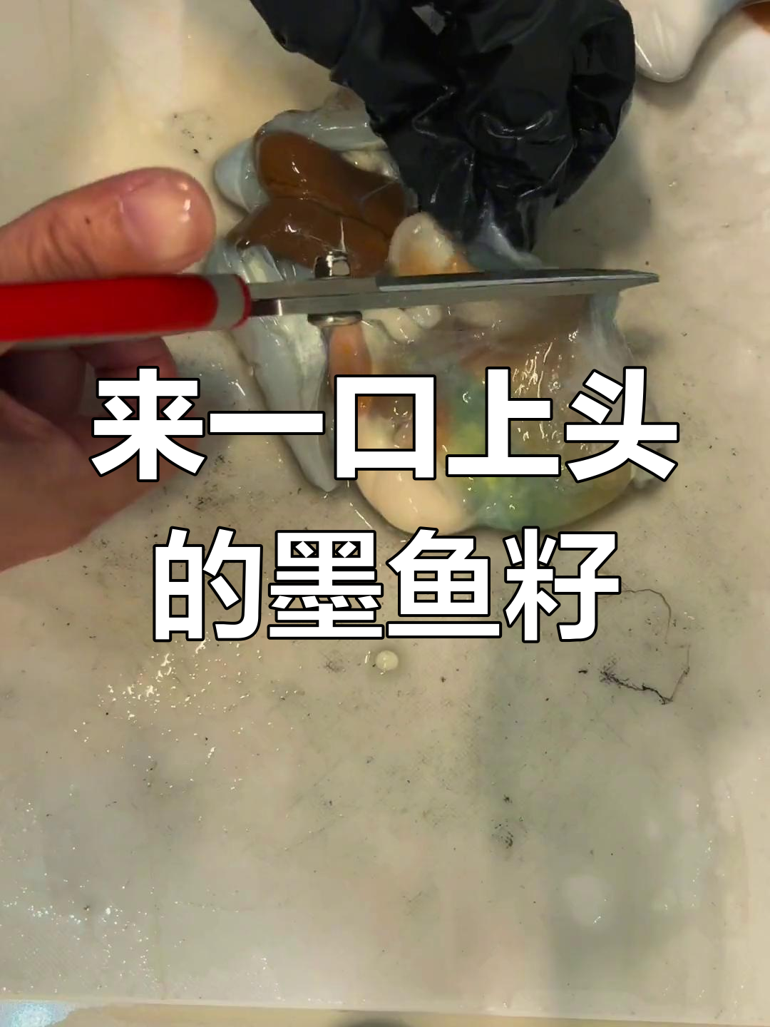 墨鱼籽的独特美味,简单烹饪就能享受高端口感