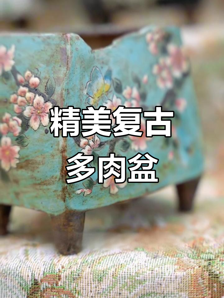 蓝底复古手绘多肉盆,细节精致到让人心动
