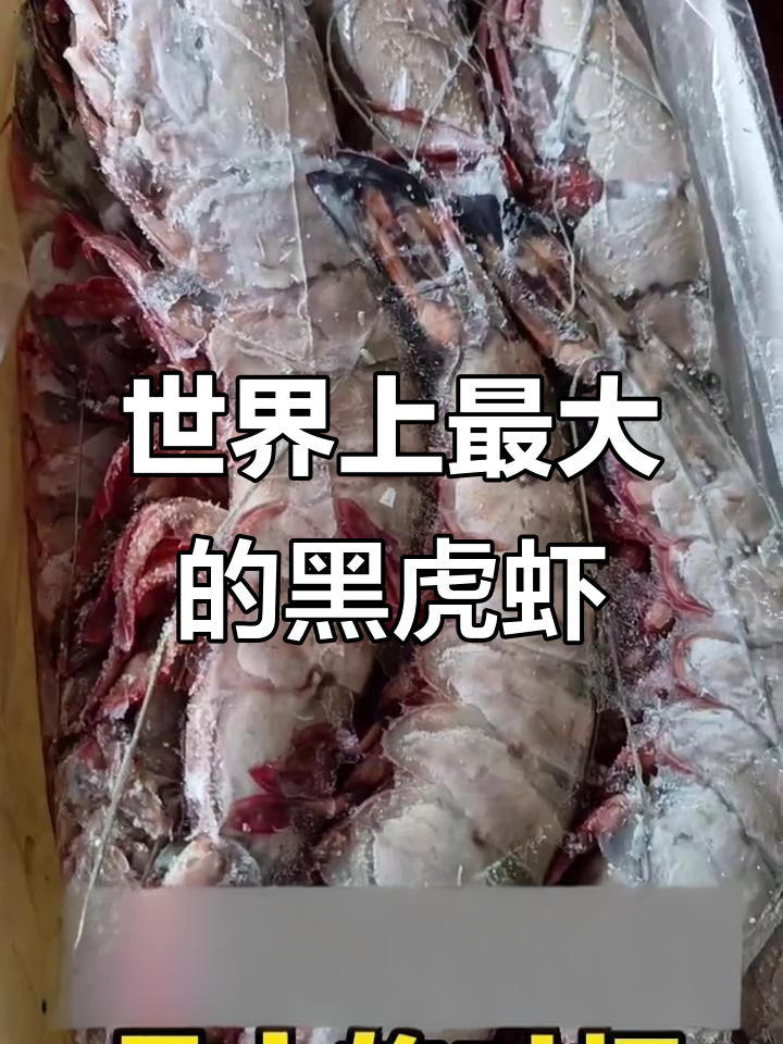 黑虎虾:海中巨无霸,越南印尼的“对虾之王”