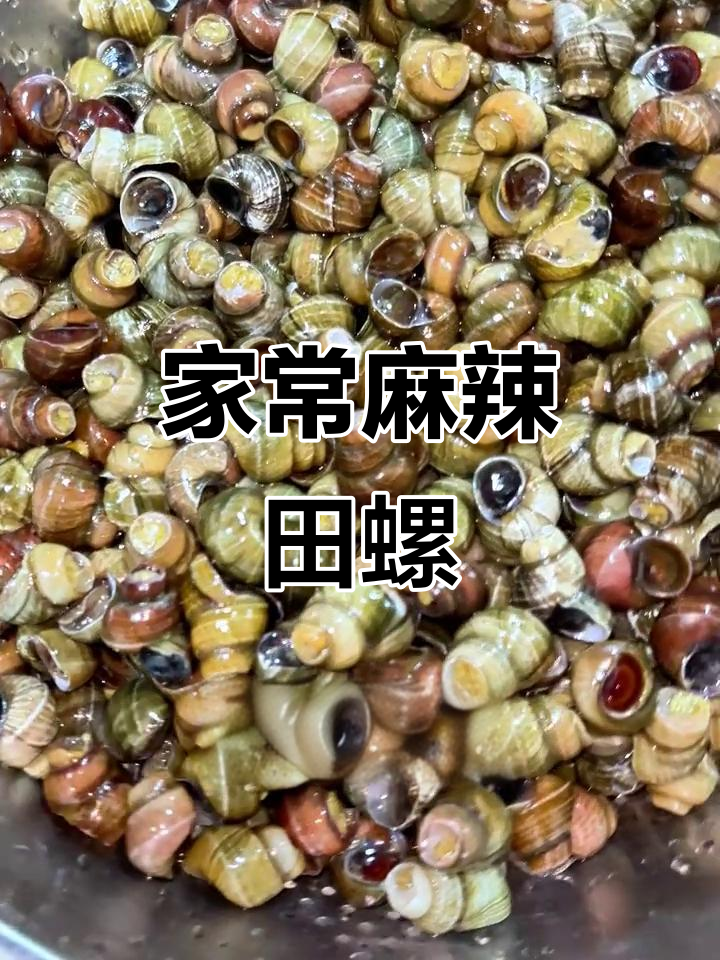 夜市经典麻辣田螺炒法,家常香辣螺丝来啦