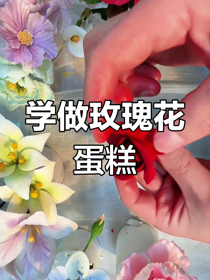 轻松学蛋糕裱花,零基础也能做出完美玫瑰花