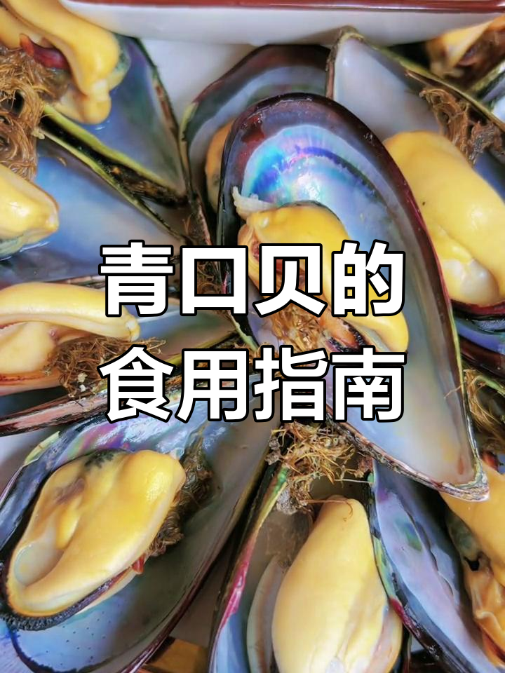 青口贝怎么吃最鲜美?这些部位千万别碰