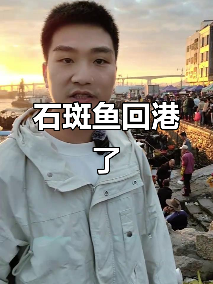 粤西码头新鲜石斑鱼,二十八元一斤超值海鲜大揭秘