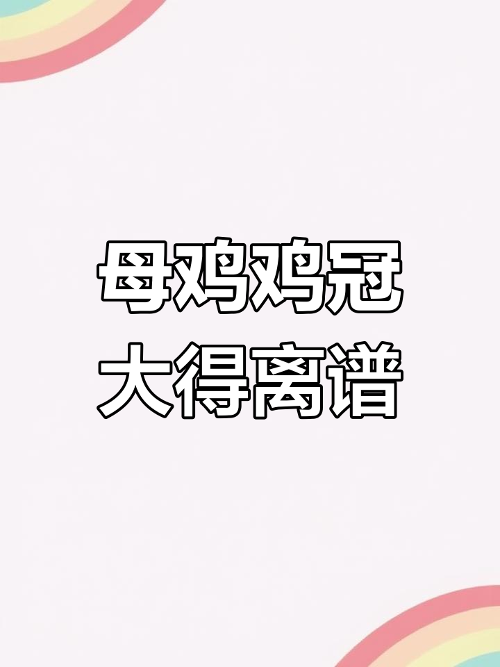 母鸡的鸡冠竟然这么大,真是让人惊讶!