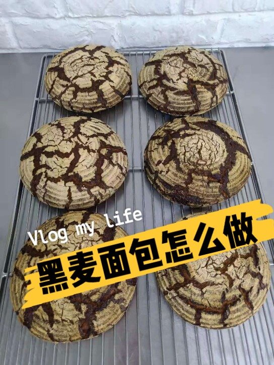 面包日常|黑麦面包详细教学(含配方)