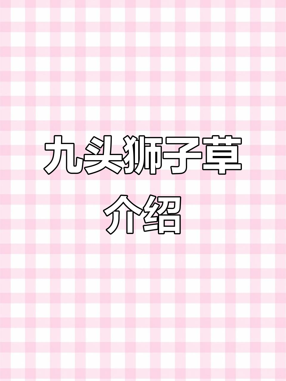 九头狮子草的神奇功效,了解它的作用与价值