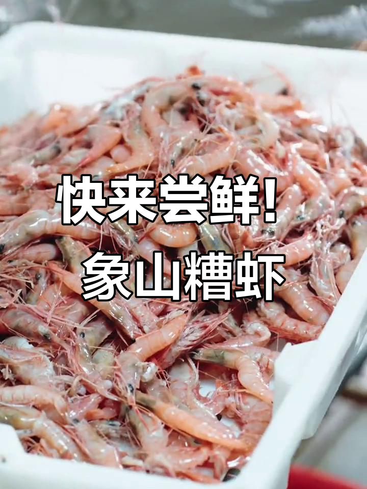 象山海鲜大揭秘，糟虾美味不容错过
