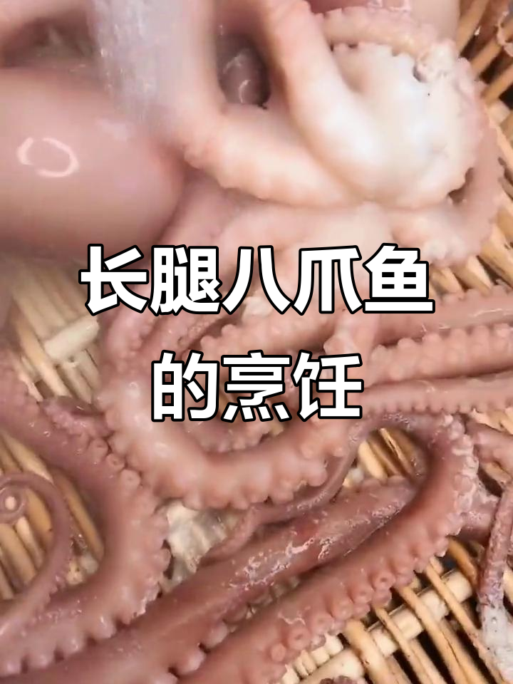 八爪鱼长腿做法,教你轻松搞定美味!