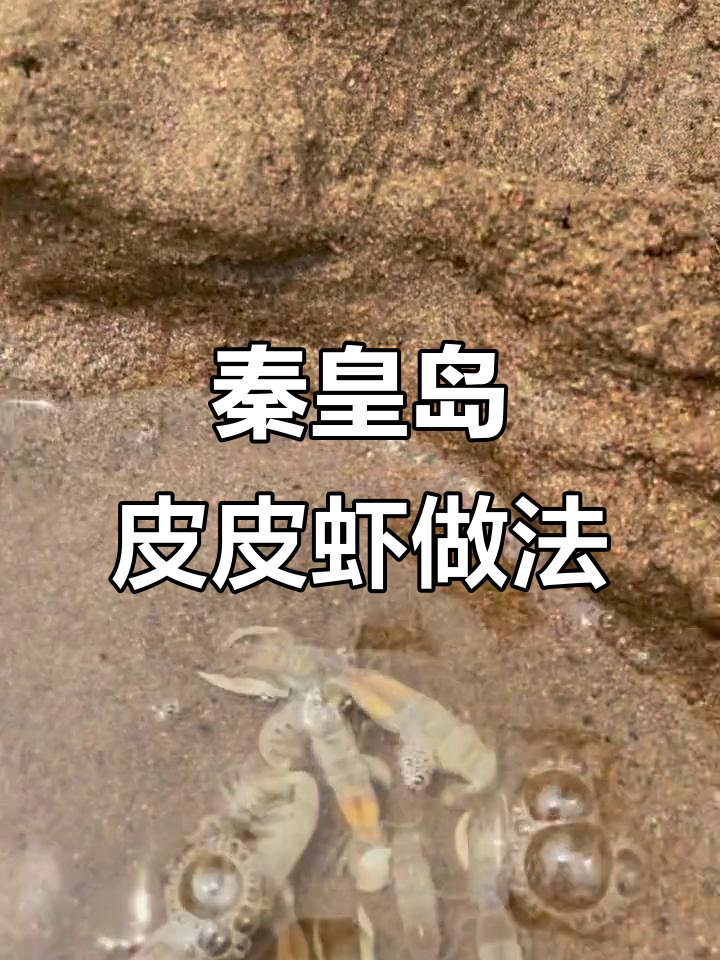 秦皇岛皮皮虾幼崽抓不完,做法大揭秘