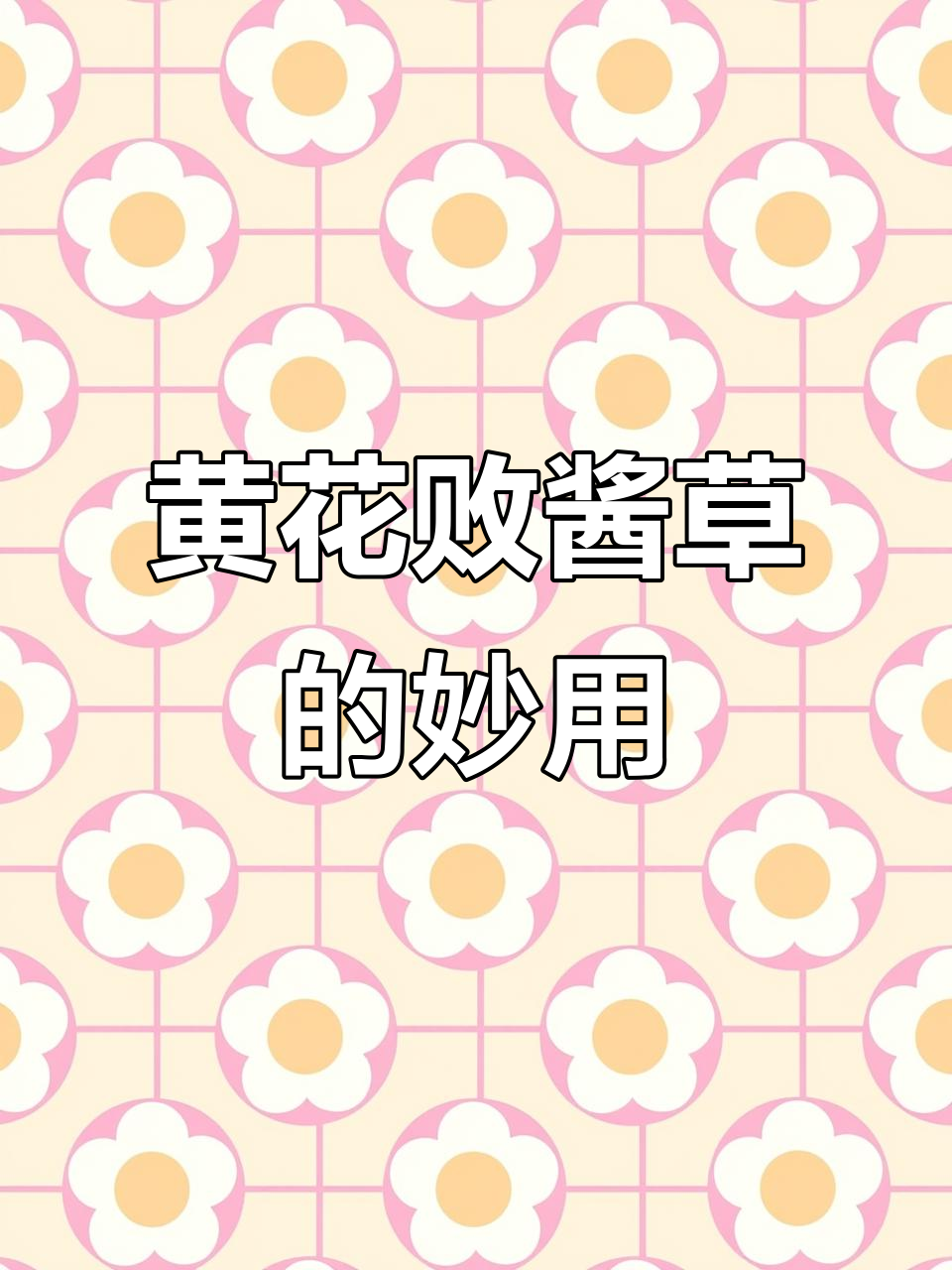 败酱草:苦菜也能做茶,黄花白瓣任你选