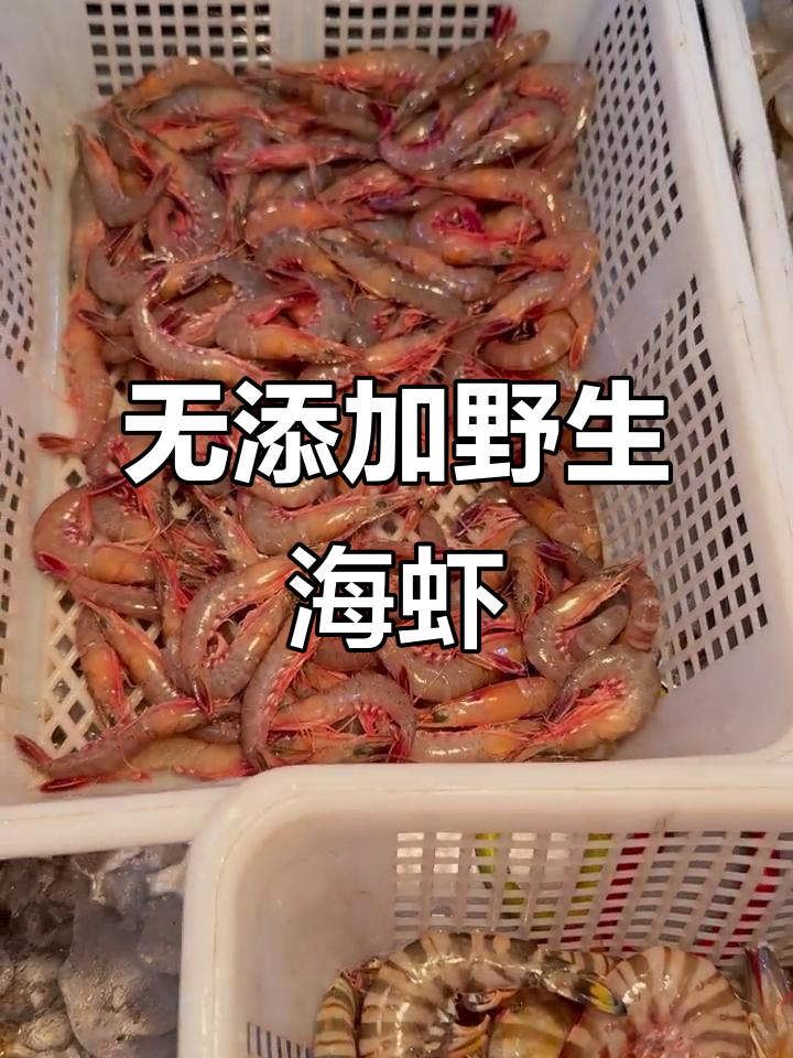 新鲜野生海虾,竹节虾与滑皮虾的完美搭配