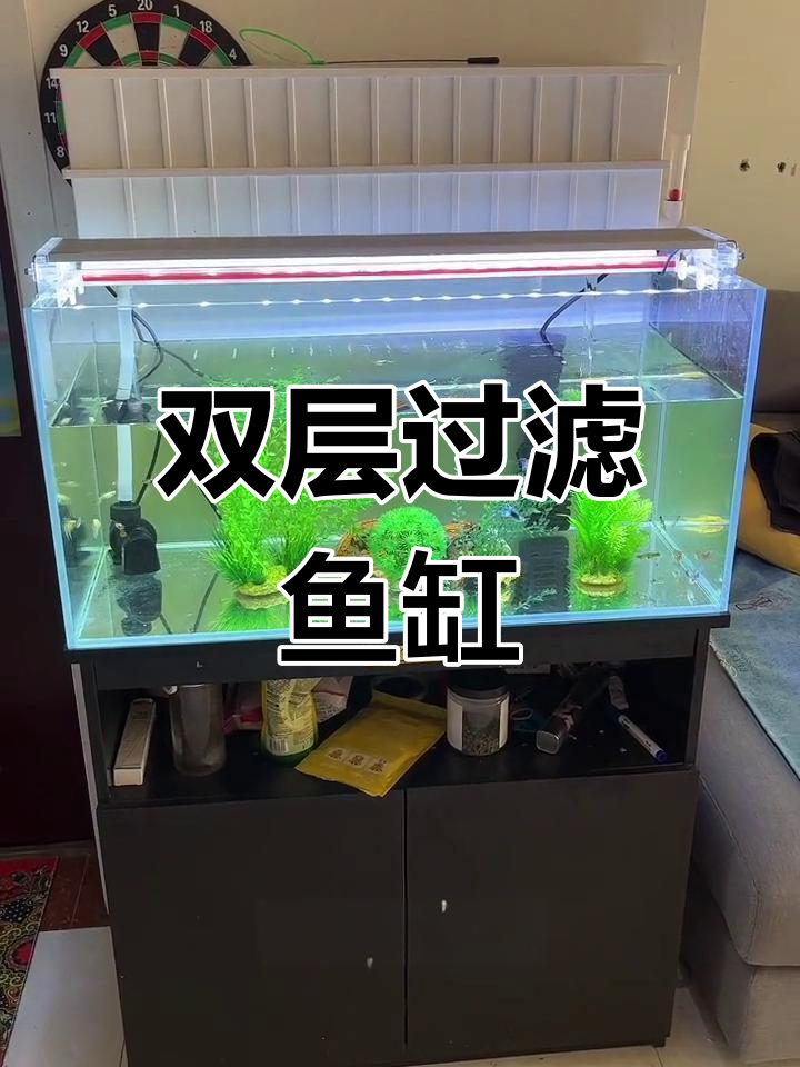 80升鱼缸搭配双层过滤,足够日常养鱼需求