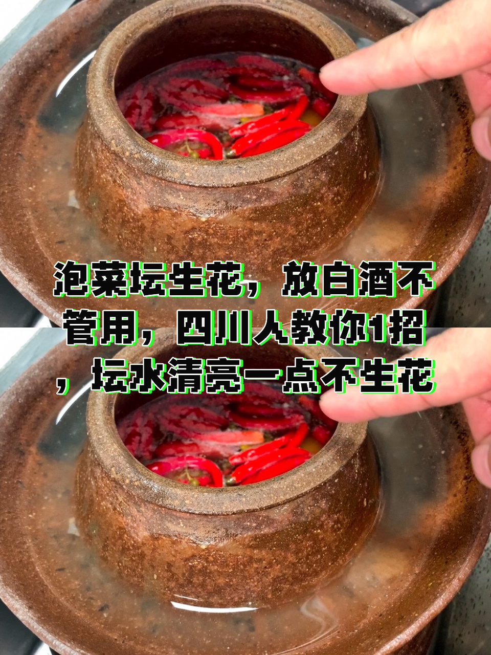 泡菜坛生花,放白酒不管用,四川人教你1招