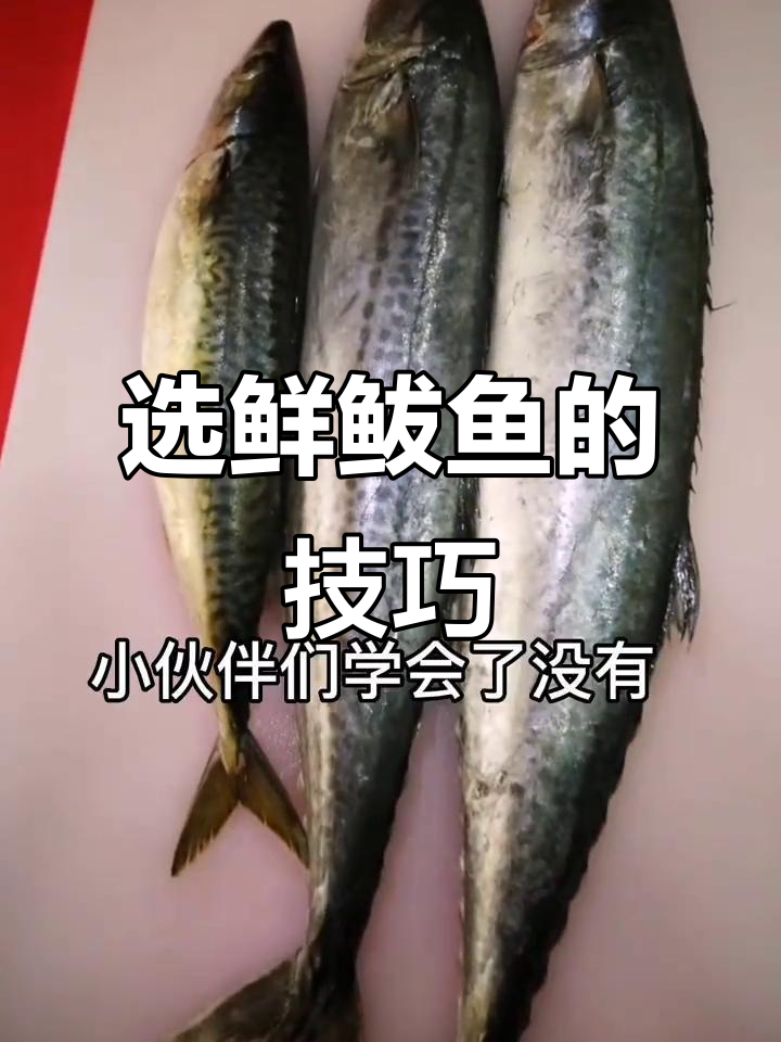 如何挑选新鲜鲅鱼?牢记这几点避免买到不新鲜的